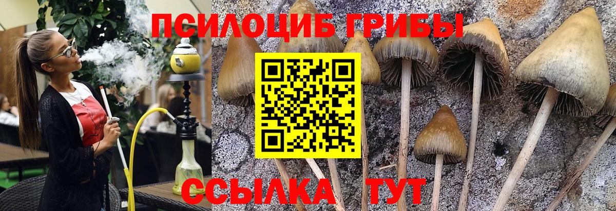 наркошоп  Вход с VPN  Бугуруслан  Галлюциногенные грибы Psilocybe 